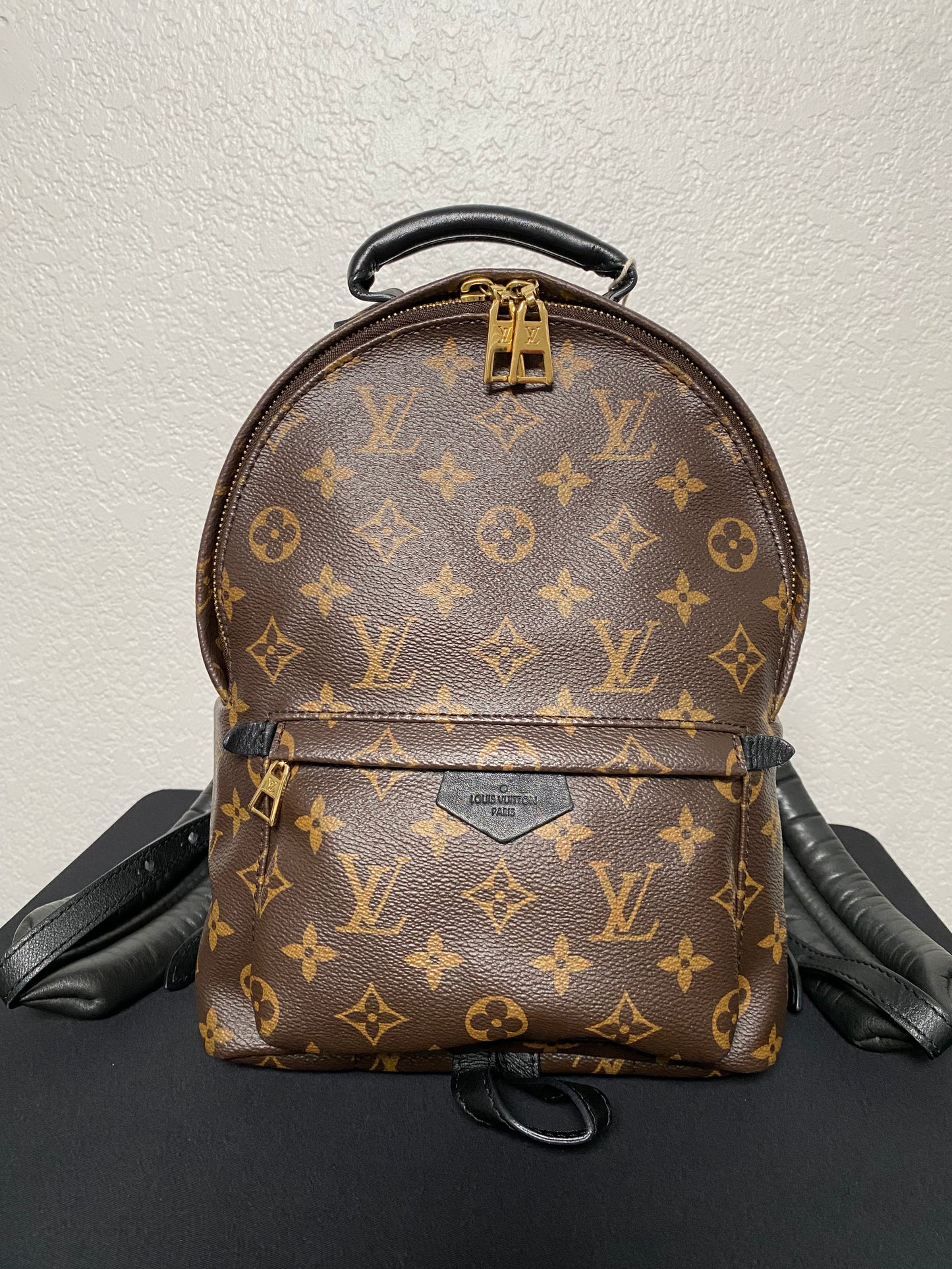 Louis Vuitton Monogram Palm Springs Backpack