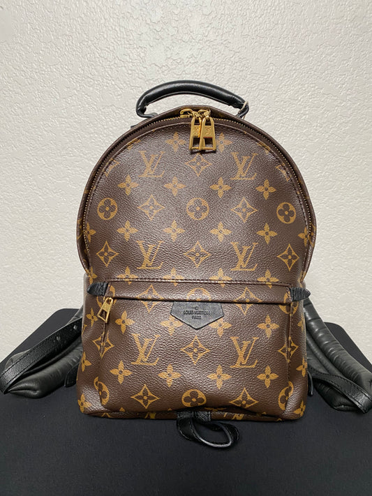 Louis Vuitton Monogram Palm Springs Backpack