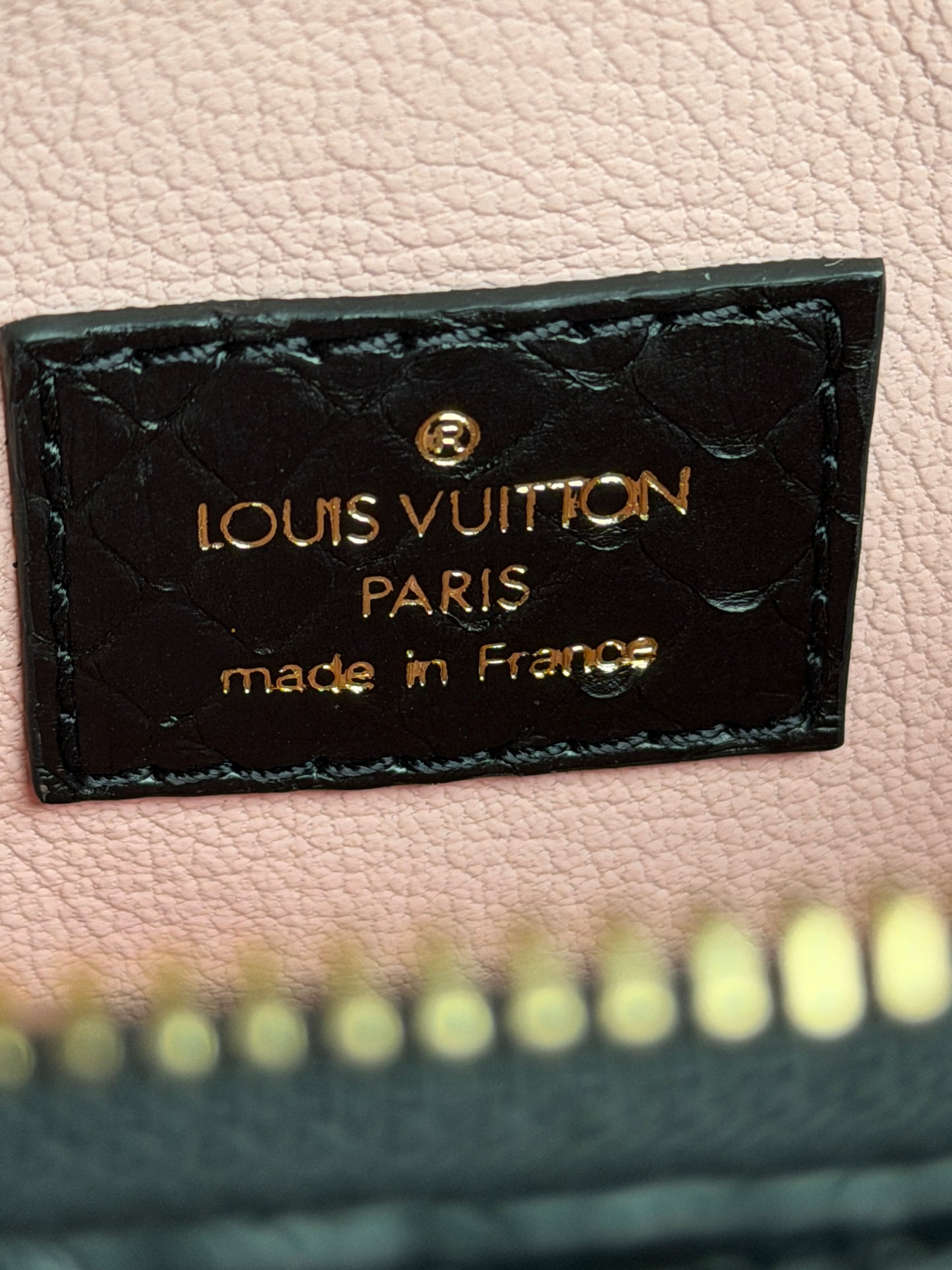 Louis Vuitton Coussin BB in Black Python Leather