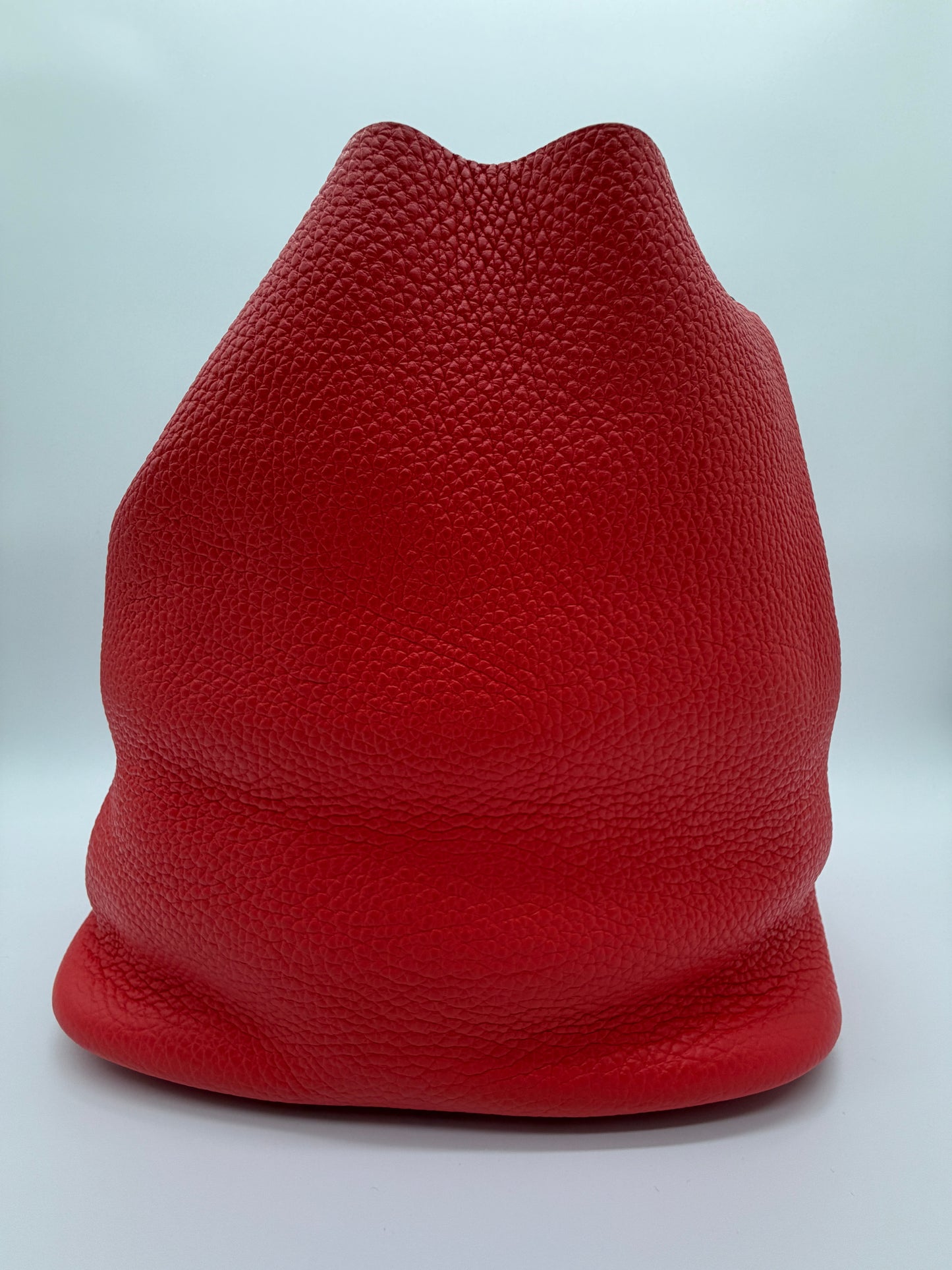 Hermès Picotin Lock 22 Rouge Casaque Clemence Leather Handbag lx483
