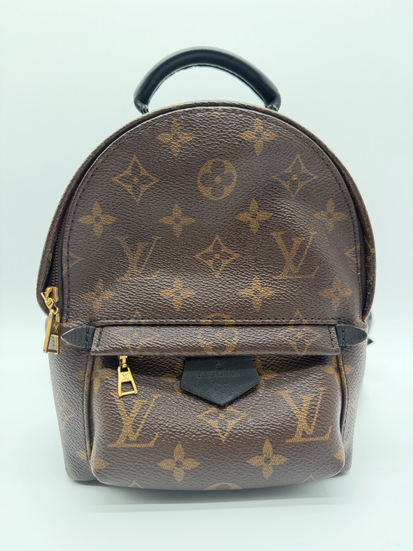 Louis Vuitton Palm Springs Mini Backpack Monogram Canvas
