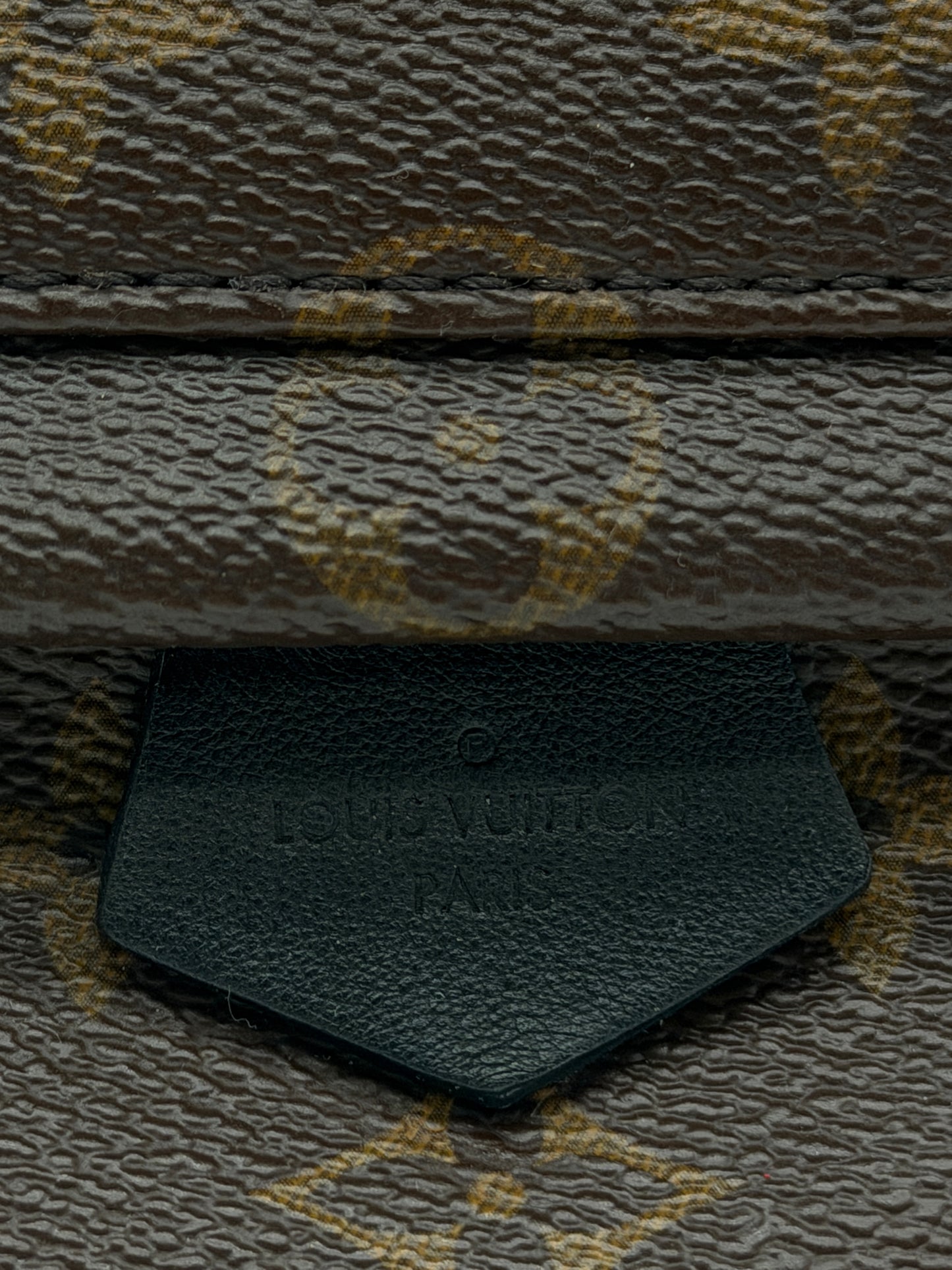 Louis Vuitton Palm Springs Mini Backpack Monogram Canvas