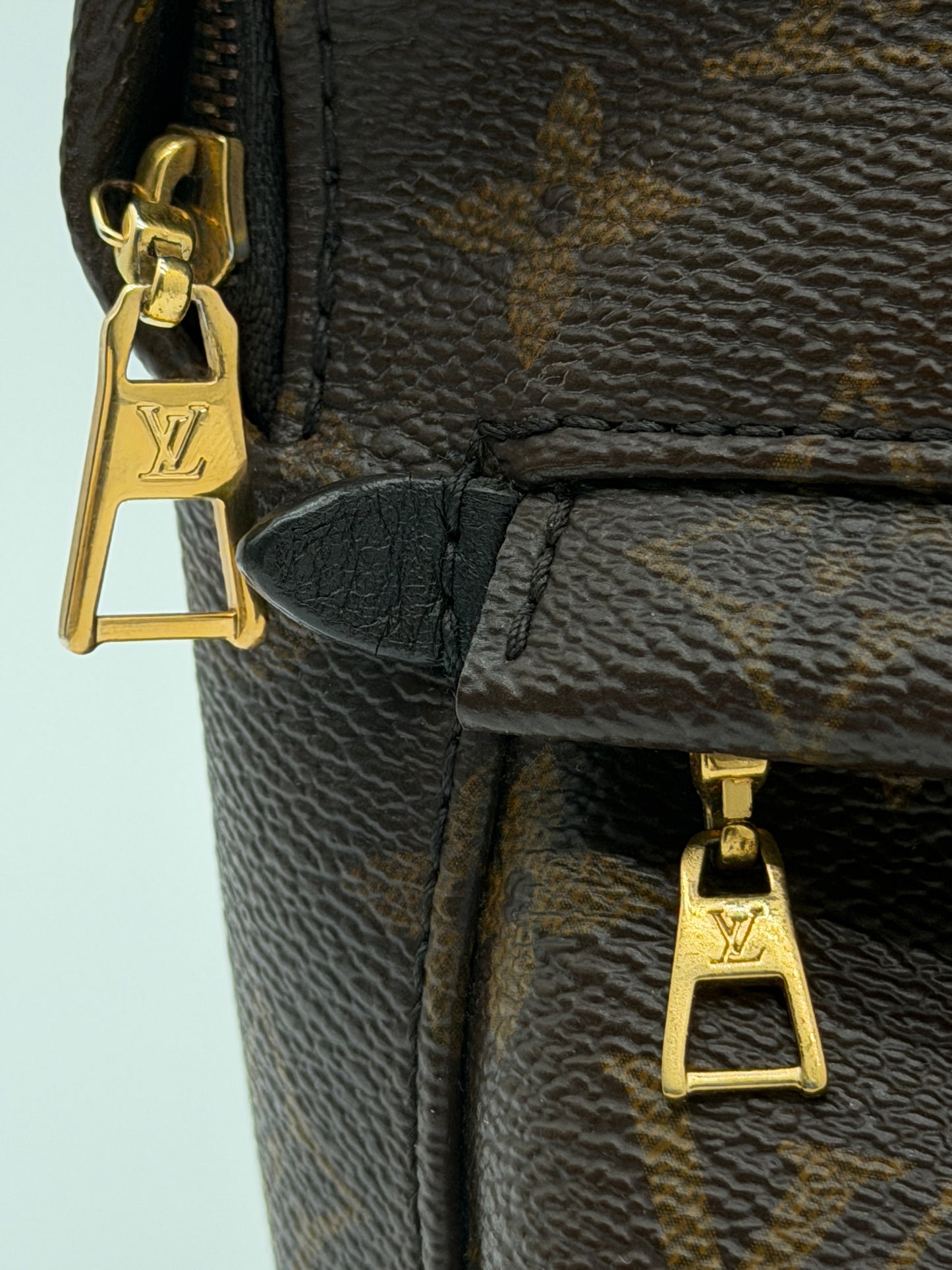 Louis Vuitton Palm Springs Mini Backpack Monogram Canvas