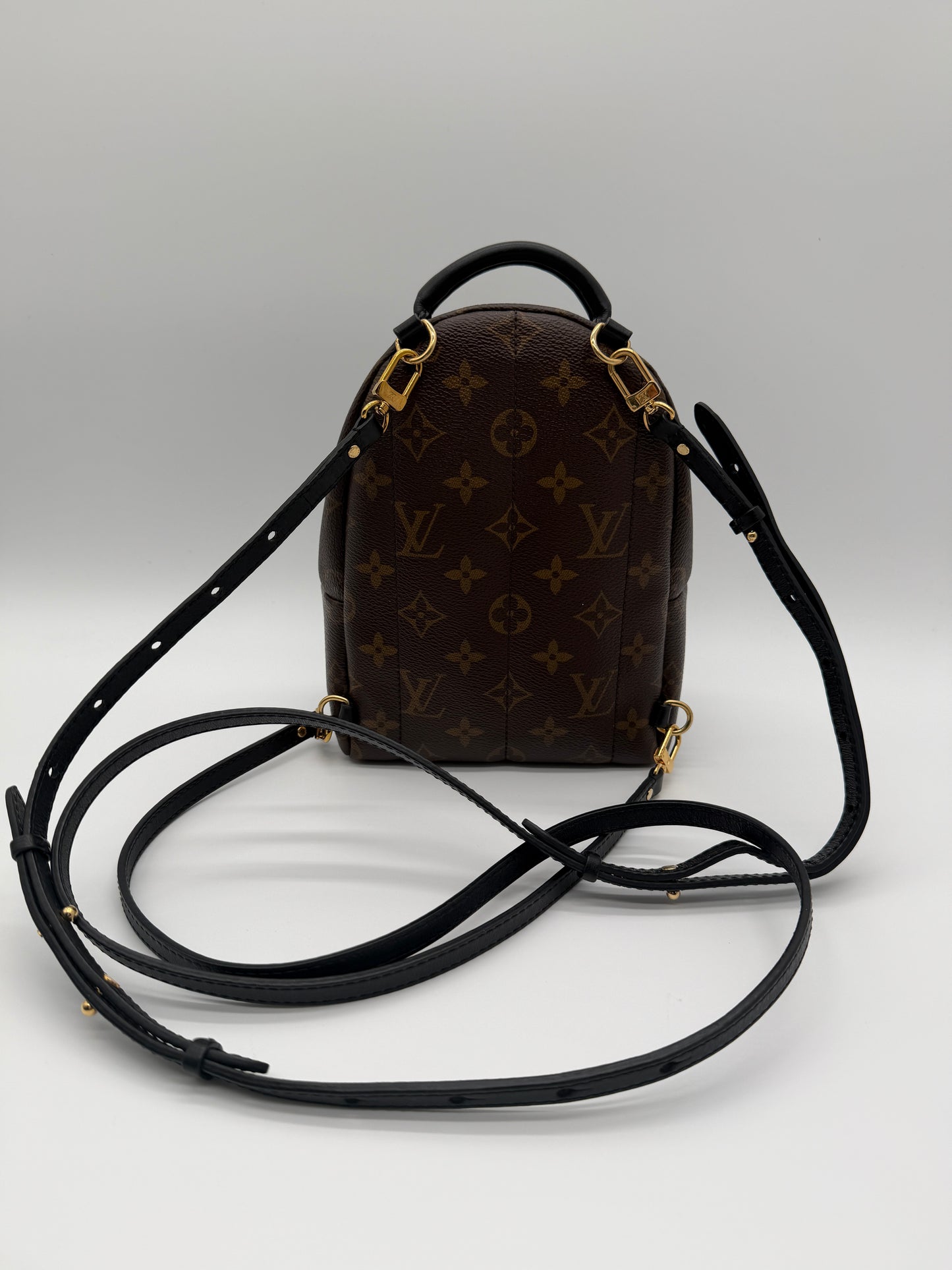 Louis Vuitton Palm Springs Mini Backpack Monogram Canvas