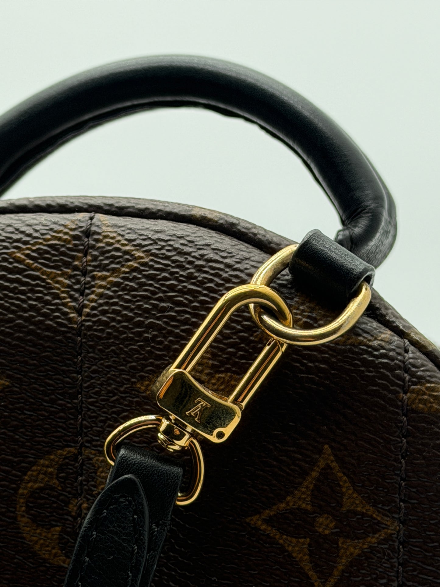 Louis Vuitton Palm Springs Mini Backpack Monogram Canvas