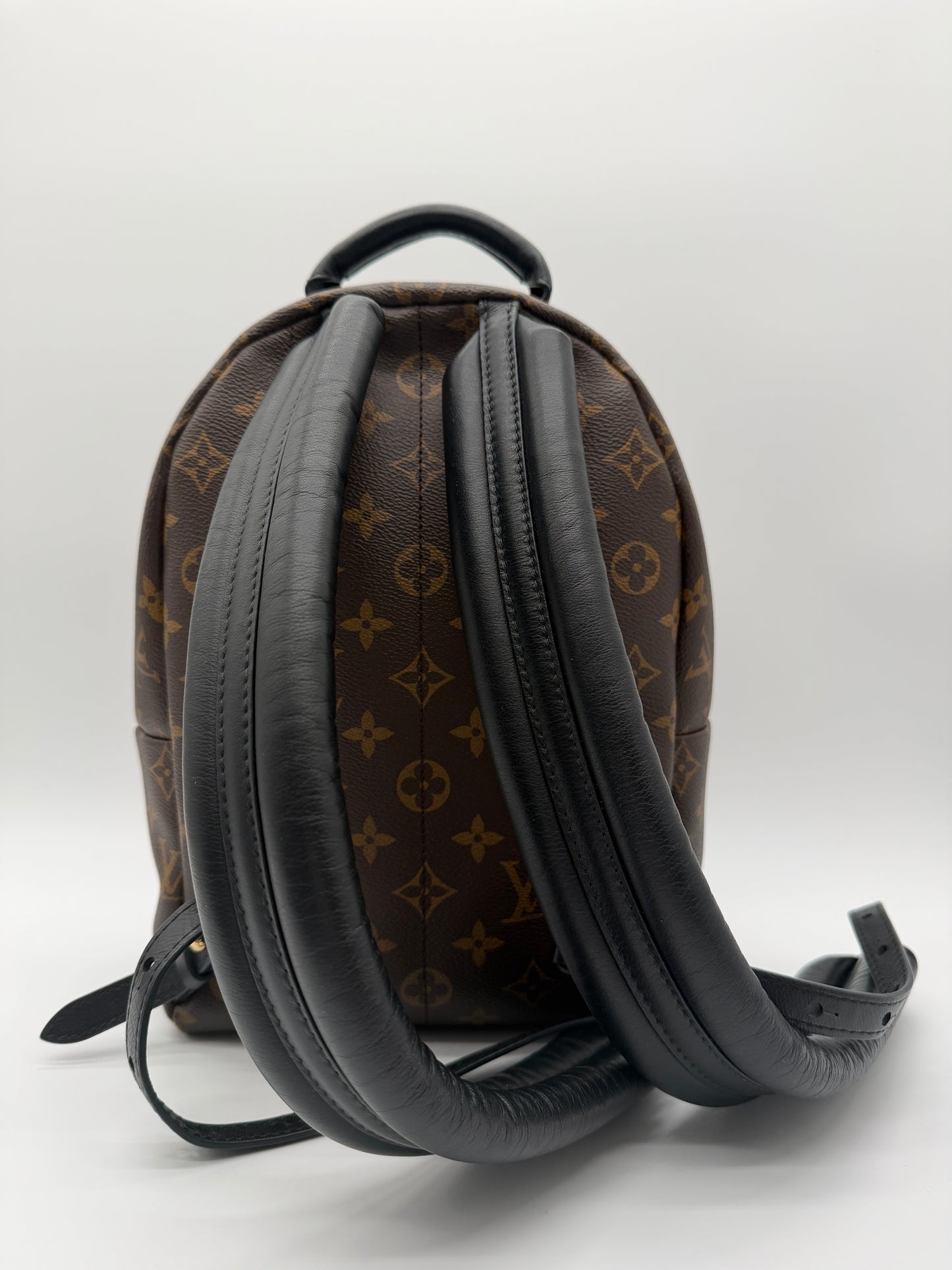 Louis Vuitton Palm Springs PM Reverse Monogram Backpack