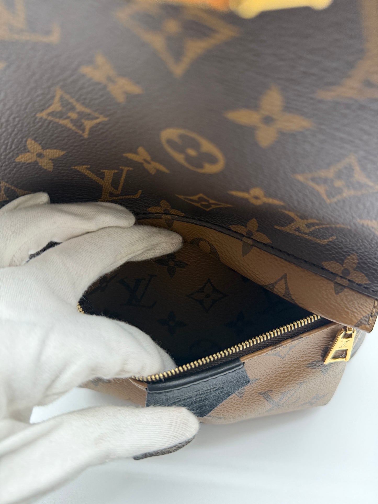 Louis Vuitton Palm Springs PM Reverse Monogram Backpack