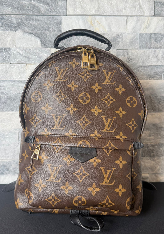 Louis Vuitton Monogram Palm Springs Backpack