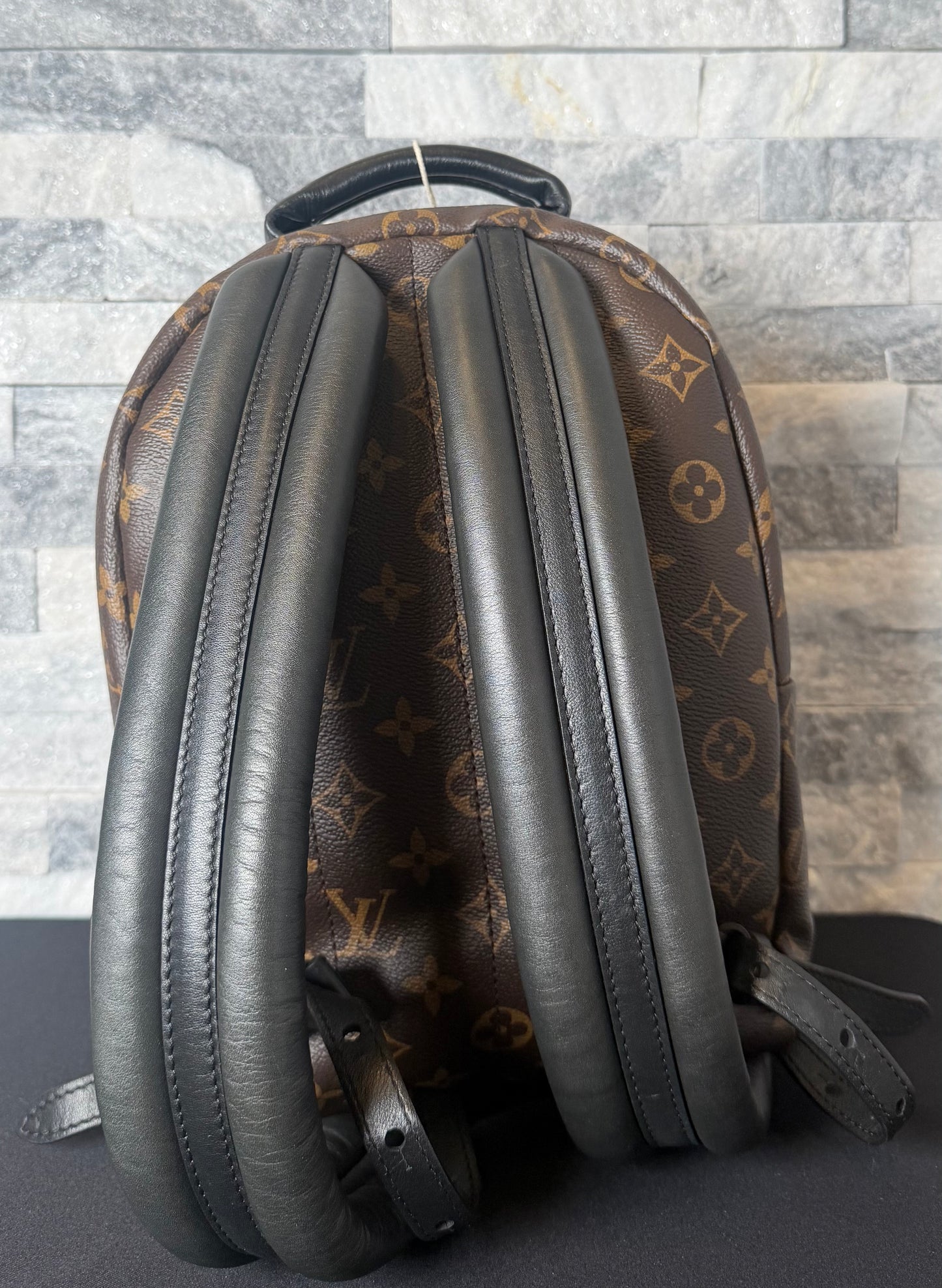 Louis Vuitton Monogram Palm Springs Backpack