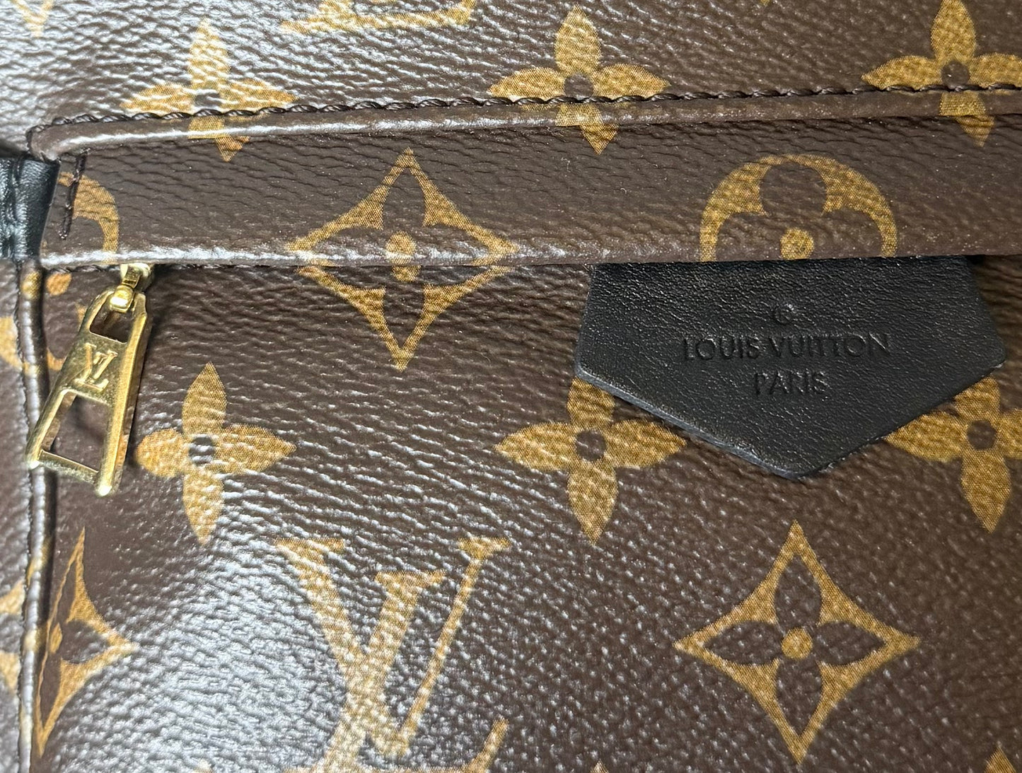 Louis Vuitton Monogram Palm Springs Backpack